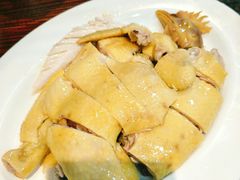 凤厨鸡-凤厨顺德水乡凤味馆(大良锦龙路店)