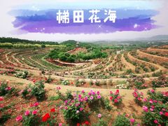 -密云玫瑰情园