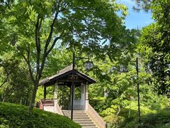 -绍兴镜湖国家城市湿地公园