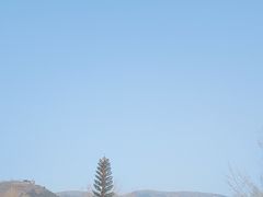-八大处公园