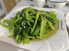 -煲来饱去冷水鱼