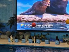 -泉城欧乐堡海洋极地世界