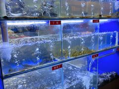 -石锅苗苗鱼(武汉首店)