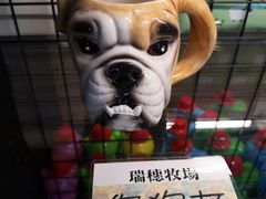 -瑞穗牧场