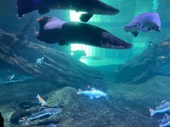 -华夏文旅西安度假区