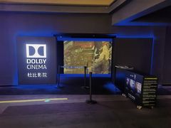 -万达影城(闵行颛桥万达广场杜比影院店)
