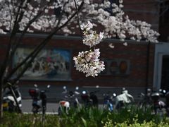-静安雕塑公园