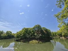 -梁鸿国家湿地公园
