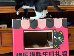 -烤匠麻辣烤鱼(环球中心店)