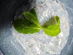-老员外骨汤火锅(海州古城店)
