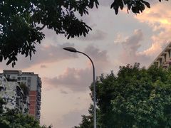 -苟味道老火锅(黄桷坪店)