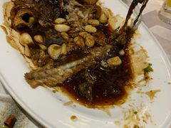 温式黄鱼烧年糕-柒园·三十年创意杭帮菜(龙湖滨江天街店)