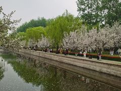 -元大都城垣遗址公园