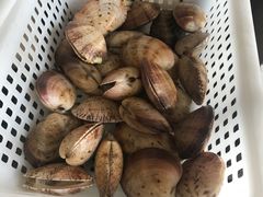 -东江港海鲜城(广雅花园别墅区店)