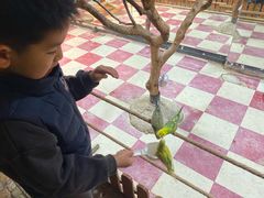 -上海大自然野生昆虫馆(东方明珠·爬宠昆虫探索中心)
