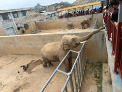 -西霞口神雕山野生动物世界