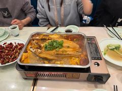 -蜀腾川·火锅鱼.烤鱼(新世界城店)