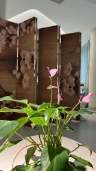 -常熟时代医疗美容