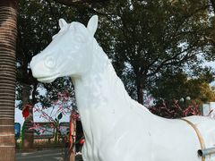-苏州太湖西山岛开心农场