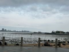 -中澳友谊花园
