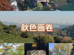 -西湖游船