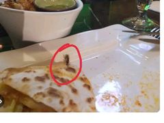 -Cactus墨西哥仙人掌餐厅