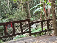 -七仙岭温泉国家森林公园