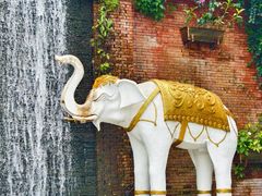 -瑞丽独树成林风景区