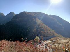 -狼牙山风景区