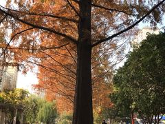 -郑和公园