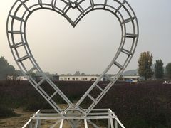 -北京东方普罗旺斯薰衣草庄园