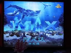 -万达影城(锦华万达广场IMAX店)