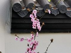 -郑和公园