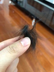 -龙文宝贝上门婴儿理发满月剃胎毛(普陀店)