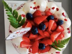 -维尔纳斯·生日蛋糕动物奶油冰淇淋蛋糕(人大店)