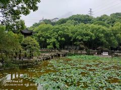 -忠山公园