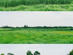 -良渚古城遗址公园