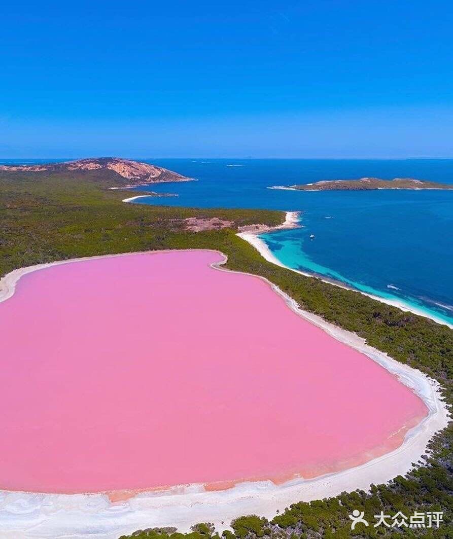 搭乘小型飞机,沿着海岸线飞行不远