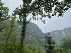 -幽岚山·童话森林