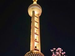 -东方明珠广播电视塔