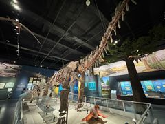 -国家自然博物馆