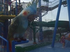 -苏州乐园森林水世界