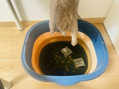 -纳吉亚猫专科动物医院·北北分院
