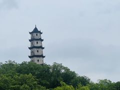-江心屿景区