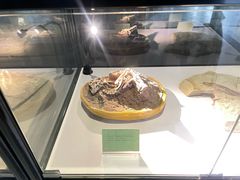 -房山世界地质公园博物馆