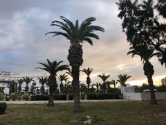 -Restaurant L'Escale da Vittorio