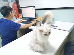 -嘉馨宠物医院·CT影像转诊·心脏科·犬猫全科诊疗中心(下沙大学城院区)