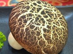 -蘑菇私房菜小馆(杨家坪西城天街店)