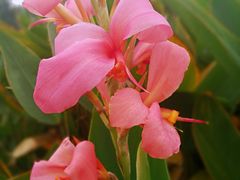 -三圣花乡旅游区