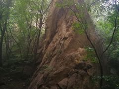 -大岭沟猕猴桃谷风景区